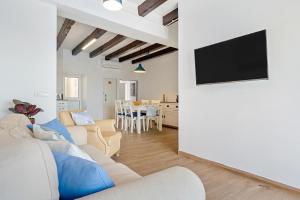 TV a/nebo společenská místnost v ubytování Loft Jb
