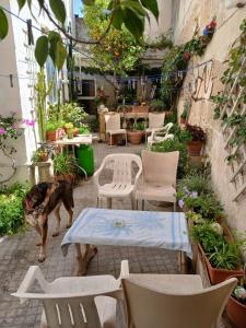 Zahrada ubytování 1, 2 or 3 Bed Rooms - Malta Central Location, Very near Sea and Tourism hub