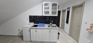 Taksim Apartman 1的厨房或小厨房