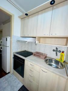 eine kleine Küche mit Spüle und Kühlschrank in der Unterkunft Slavija McD apartment in Belgrad + 4 Fotos