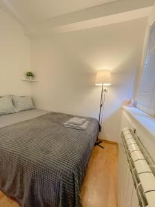 ein Schlafzimmer mit einem Bett und einer Lampe und einem Fenster in der Unterkunft Slavija McD apartment in Belgrad