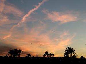 a sunset with palm trees and kites in the sky at Apartamento Vera-playa in Los Amarguillos