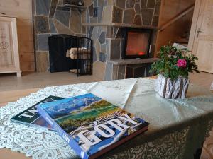 a book sitting on top of a table with a fireplace at Tatra West Farm in Dzianisz