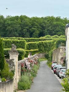 a driveway with cars parked in a garden at Maison de ville pour groupe, très proche du château de Villandry in Villandry