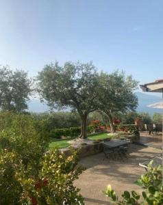 un parco con un tavolo da picnic e un albero di A Sorrento B&B,relaxing location with Seaview a Sorrento