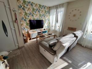 a living room with a couch and a flat screen tv at Mon petit paradis - Proche de la mer et Touquet in Camiers