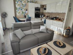 a living room with a couch and a kitchen at Mon petit paradis - Proche de la mer et Touquet in Camiers +13 photos