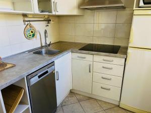 Kuchyň nebo kuchyňský kout v ubytování Apartments Vesna