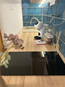 Η κουζίνα ή μικρή κουζίνα στο SpaGo Apartment +8 φωτογραφίες
