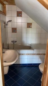 a bathroom with a sink and a toilet at La porte des fagnes in Malmedy +51 photos