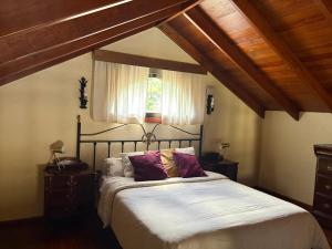a bedroom with a large bed in a attic at Casa Las Sabinas in Guarazoca