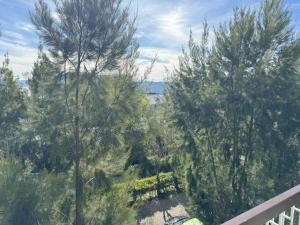 an overhead view of trees in a park at Condo in Green Valley Baguio in Baguio