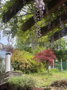 Billede fra billedgalleriet på 131c - Fronte Lago i Bagno di Romagna + 3 billeder