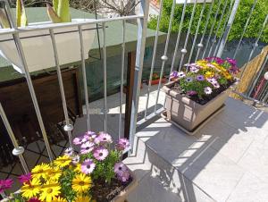 two potted plants on a balcony with flowers at Alloggio La Goccia, appartamento Mare in Rosolina +3 photos