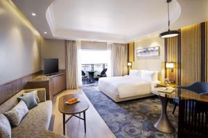 Radisson Blu Resort Dharamshala的电视和/或娱乐中心