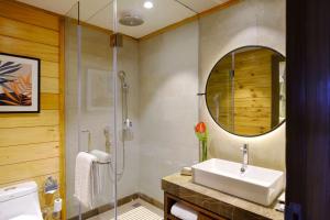Radisson Blu Resort Dharamshala的一间浴室