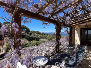 Gallery image of Villa Lilause in Hyères