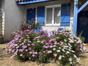 Zahrada ubytování Hotel Des 4 Vents "Esprit Camargue" Parking Privé securisé