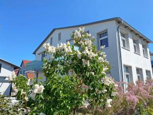 a flowering tree in front of a building at Haus Seestern in Thiessow