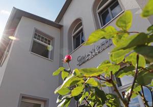 a building with a red flower in front of it at Haus Seestern in Thiessow