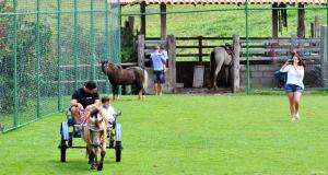 a man pushing a child in a horse drawn cart at Amoras Hotel fazenda in Santo Antônio de Jesus