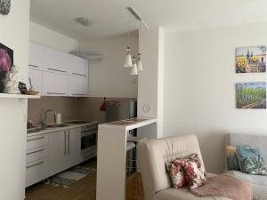 Dapur atau dapur kecil di Alexandra apartment