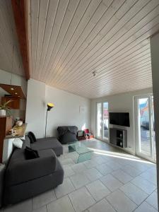TV a/nebo společenská místnost v ubytování Appartement vue lac Montreux
