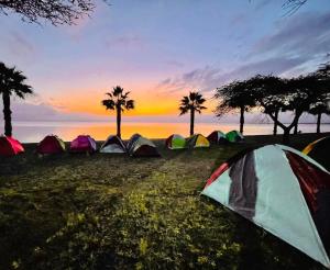 Naturlandskabet i nærheden af campingpladsen