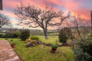 Zahrada ubytování Agriturismo Meriggio