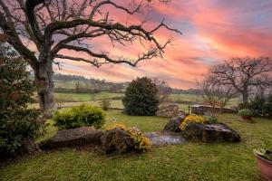 Zahrada ubytování Agriturismo Meriggio
