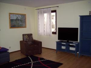 Televízia a/alebo spoločenská miestnosť v ubytovaní Apartment Monfiorenzo 11