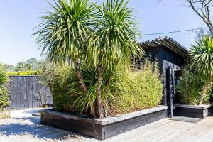 a palm tree in front of a house at Beach House in Lège-Cap-Ferret