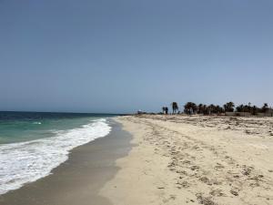 an empty beach with palm trees and the ocean at Villa Jasmin in Midoun