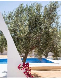 a tree in front of a pool with flowers at Villa Jasmin in Midoun