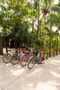 Jízda na kole v ubytování Hostel Oryx Tulum nebo okolí