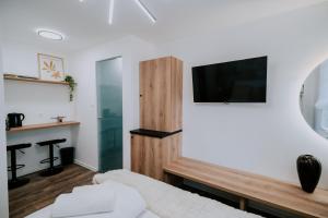 Televízia a/alebo spoločenská miestnosť v ubytovaní Maison de Luxe