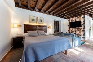 a bedroom with a large bed and a tv at El Ladrón De Agua Palacete in Granada