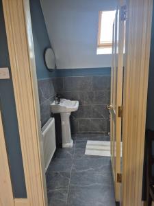 a bathroom with a sink and a toilet in it at Ballinasloe Guest House in the Heart of the Country in Ballinasloe +4 photos