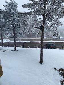 セルビアディヴツィバレにあるApartman SUNCE Divčibareの雪上駐車場二本