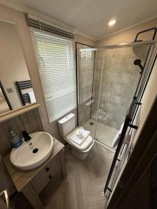 une salle de bain avec un lavabo, des toilettes et une douche dans l'établissement Grey Goose Lodge with hot tub at Brickyard Lakes, à Amotherby 1 autre photo