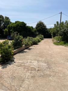 an empty parking lot with flowers and plants at Quadrale in Sotta