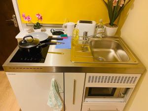 a kitchen counter top with a sink and a sink at New Snug DoubleEnsuite in Central Forest Row in Forest Row