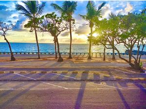 a street with palm trees on a beach with the ocean at Guest House Rosa do Mar in Olinda