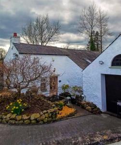une maison blanche avec un aménagement paysager devant elle dans l'établissement Riverside Cottage at Logwood Mill, à Ballyclare
