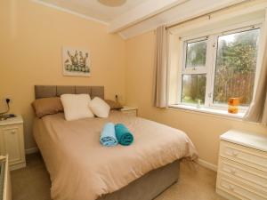 a bedroom with a bed and a window at Nanny Jill's Cabin in Penrydd
