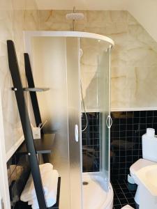 La salle de bains est pourvue d'une douche en verre et de toilettes. dans l'établissement Private, Cozy Home, à Kaunas
