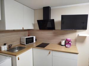 a kitchen with a counter with a sink and a microwave at Nid des Halles, Wi-Fi, Centre-ville in Luçon +6 photos