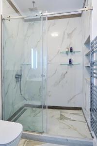 a bathroom with a glass shower with a toilet at Apartments Garitsa 1 in Agios Rokkos