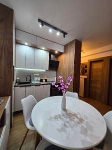 Cucina o angolo cottura di Borovi 24