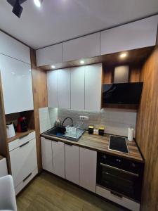 Cucina o angolo cottura di Borovi 24